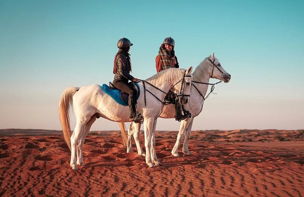 Doha Horseback Riding Adventure in Desert with Transfers