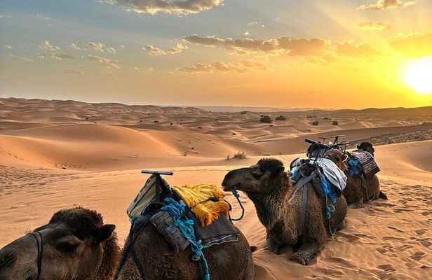 Private 3 Days Marrakech to Fes Tour via Merzouga