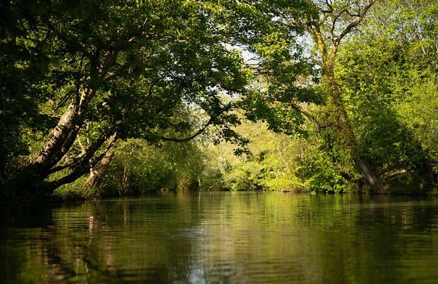 Private | Oxford University Punting Tour
