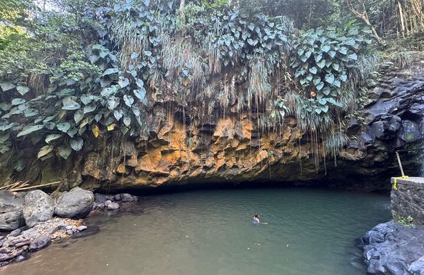 Half-Day Grenada Tour With Easy