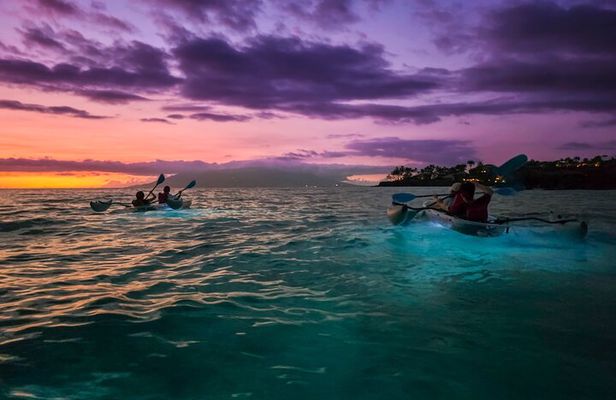 Clear Kayak Sunset and Glow Tour in Maui