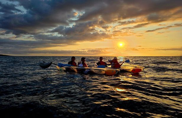 Clear Kayak Sunset Snorkel Tour in Maui