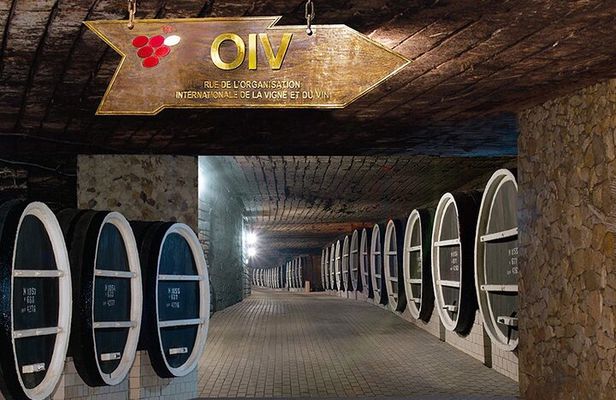 Visit Milestii Mici the Largest Wine Cellar in the World
