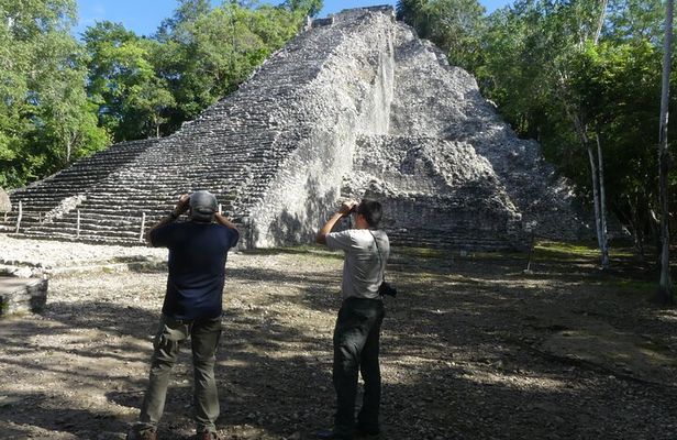 Coba and Punta Laguna Guided Birdwatching Private Tour 