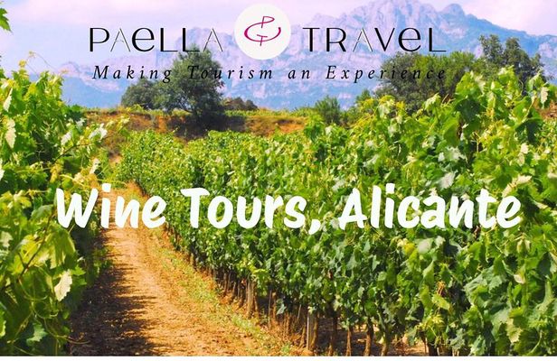 Alicante; Wine Tour Wine Tasting, Food and Transfer