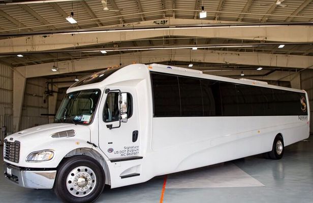 Luxury Minibus Chicago City Tour