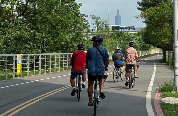 4 Hour Afternoon Cycling City Tour North with Snack