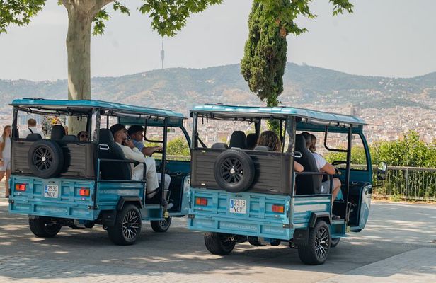 3hr Barcelona Panoramic Private Tuk-Tuk Tour