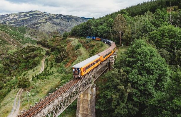 Dunedin Shore Excursion: Taieri Gorge Railway & City Sightseeing