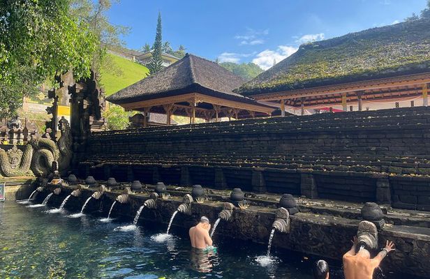 Ubud Tour Monkey Forest, Rice terrace, spring water temple & more