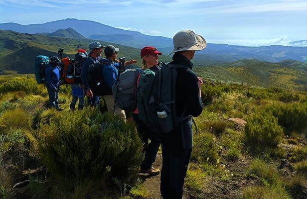 Mt. Kenya Expedition Private 4-Day Multi-day Tours