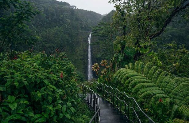  Akaka Falls Tour - Volcanoes National Park and Hilo Discovery