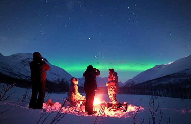 Tromsø Daily Northern Lights Aurora Tours Small Group Max 8 Guest