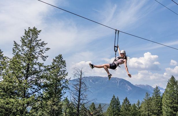 Thrilling 2-Hour Zipline Tour in Radium Hot Springs