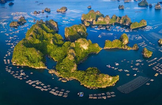 Ha Long Bay and Lan Ha Bay Cruise Experience