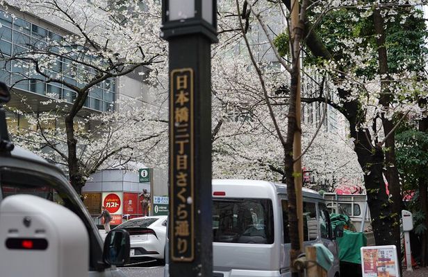 Tokyo Private Walking Tour