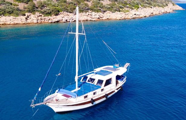 6 Hour Private Shore Excursion To Bodrum with Lunch Included