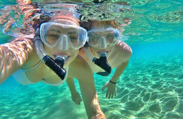 Roatan Adventure: Snorkeling, Monkeys, Sloths, and Island Tour