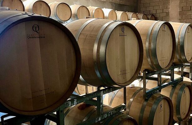 Visit Bodega Salentein and Lunch in Bodega Piedra Infinita