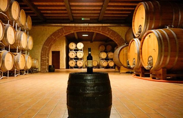 From the Cluster to the Chalice : A Journey into the Heart of Wine in Bardolino