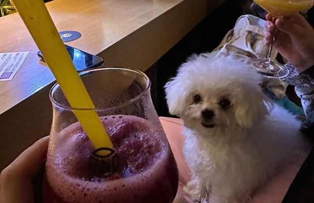 Beijing Nightlife with a Local Friend Bars Social and Culture