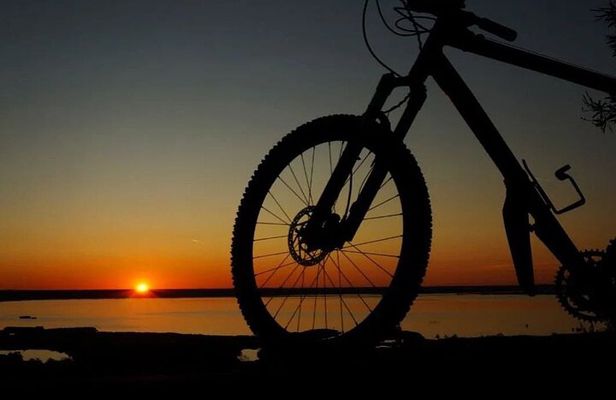 Lake Massaciuccoli Self guided Bike Tour in Pisa