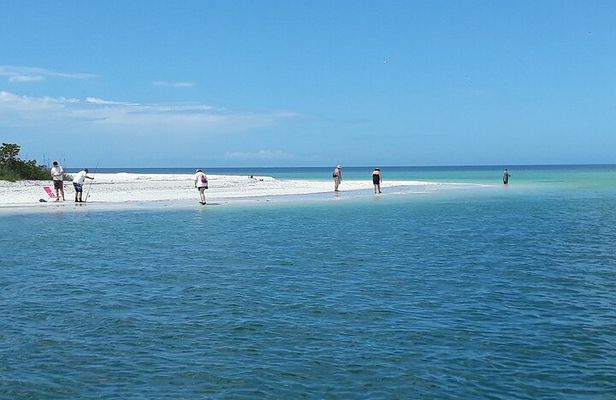Private Shell Wildlife Eco Tour