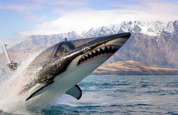 Queenstown Hydro Attack Shark Ride Adventure