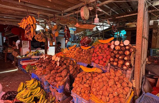 Dominican Roots: Unforgettable Cultural Adventure in Punta Cana