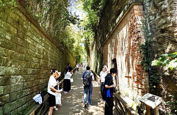 Yokosuka: Guided Island Tour to Sarushima’s Forgotten Fort