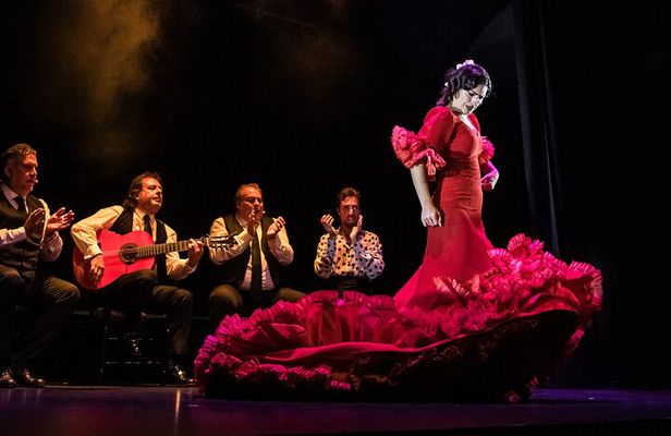 Authentic Flamenco Show at the Teatro Flamenco Granada