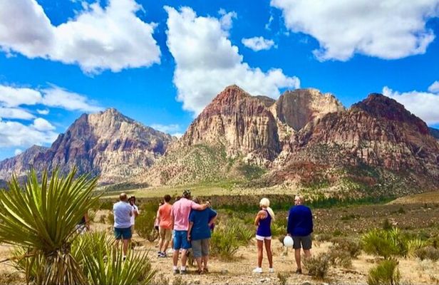 Shared Tour in Red Rock Canyon