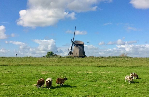 Amsterdam Private Tour Off the Beaten Path