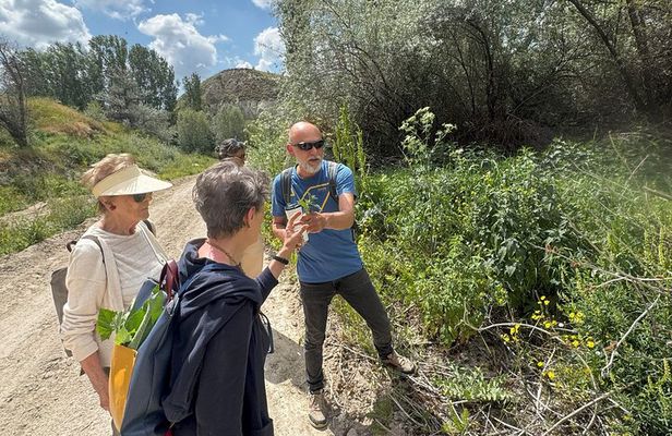 Foraging and Gastronomy Experience 