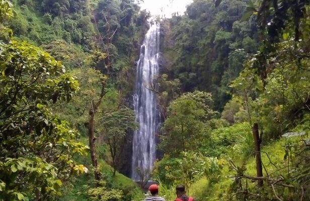 Day trip to materuni waterfalls and coffee tour from Moshi