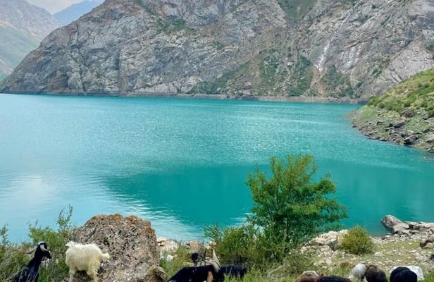  Tashkent Tour at Amirsoy, Chimgan Mountains and Charvak lake