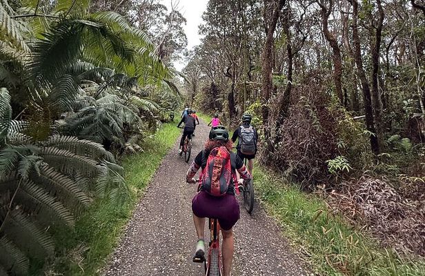 E Bike Volcanoes National Park Tour