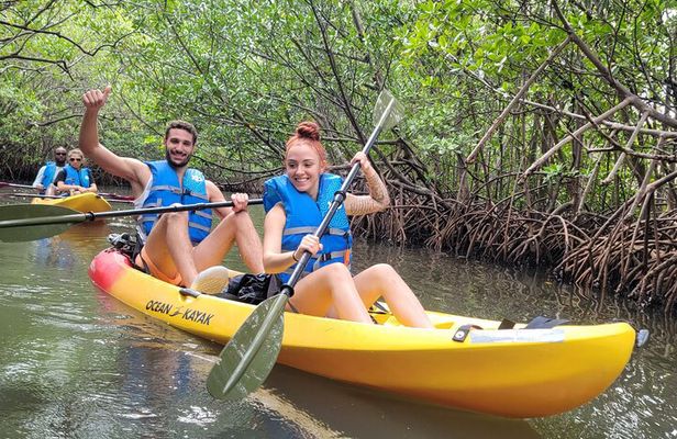 Biscayne Bay Island and Nature Exploration 
