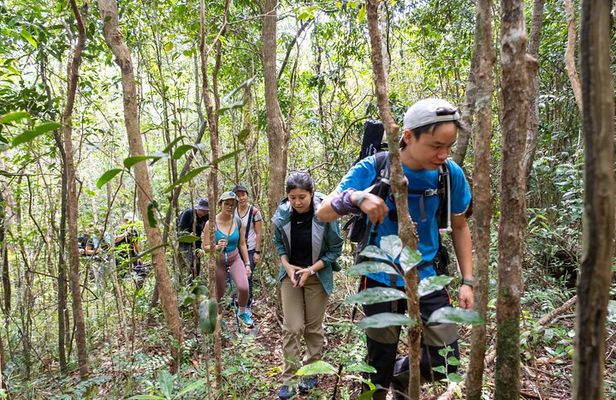 Suoi Tien 4-Hour Jungle Easy Trek and Spring Bath
