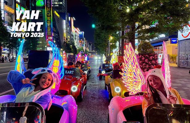 Tokyo Go-Kart Street Tour in Akihabara by YAH KART(IDP Required)