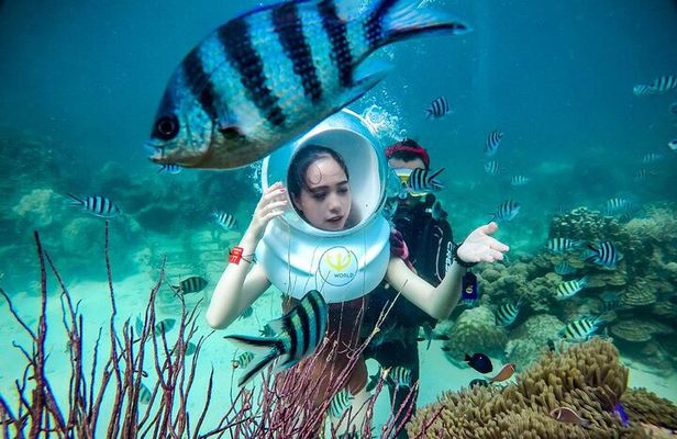 Nha Trang Bay Underwater Walk and Vietnamese Seafood Delight