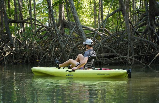 3-Hour Damas Mangrove Kayak Tour