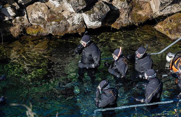 Golden Circle Adventure: Snorkeling at Silfra, Geysir & Gullfoss
