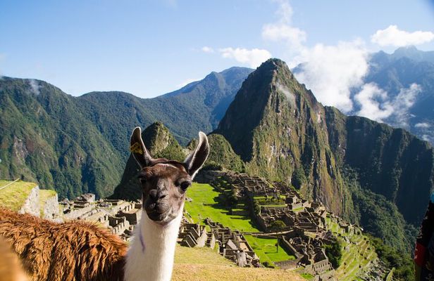From Cusco: Day trip to Machu Picchu