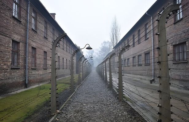 Auschwitz Birkenau minivan private van tour from Krakow
