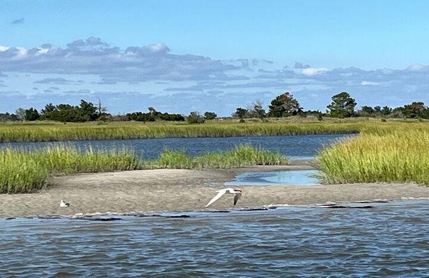 Masonboro Island Ferry