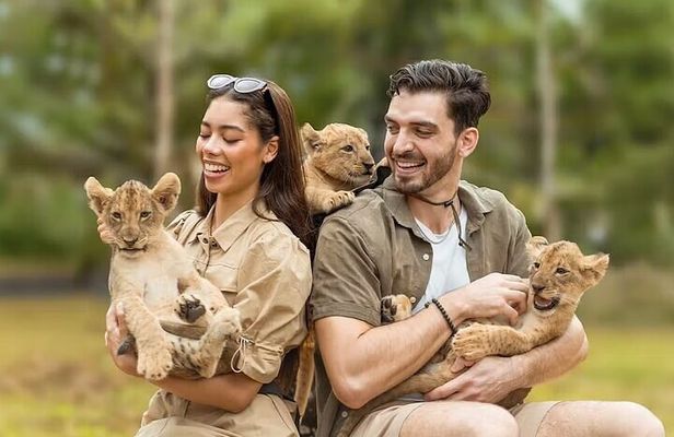 Lion Land Phuket Entry Ticket with Private Hotel Transfer