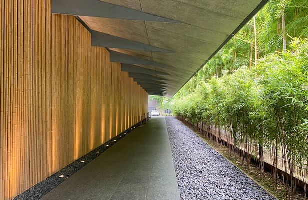 The Art of Beauty in Omotesando's Nezu Garden and Beni Museum