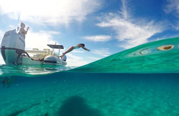 From Zadar to Best Snorkelling Spots: 2 x Shipwrecks & U-Boat Pen