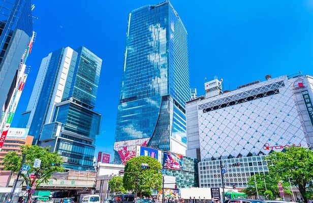 Perfect for First-Time Visitors Private Tokyo Highlights Tour